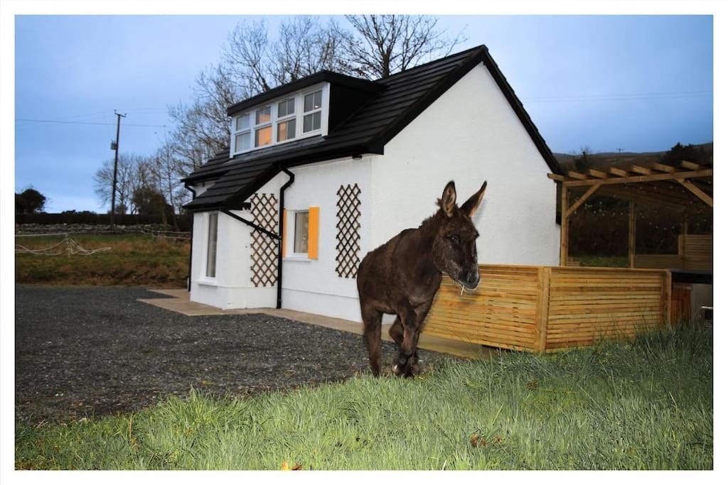 Killeavy Cottage Meigh Exterior foto