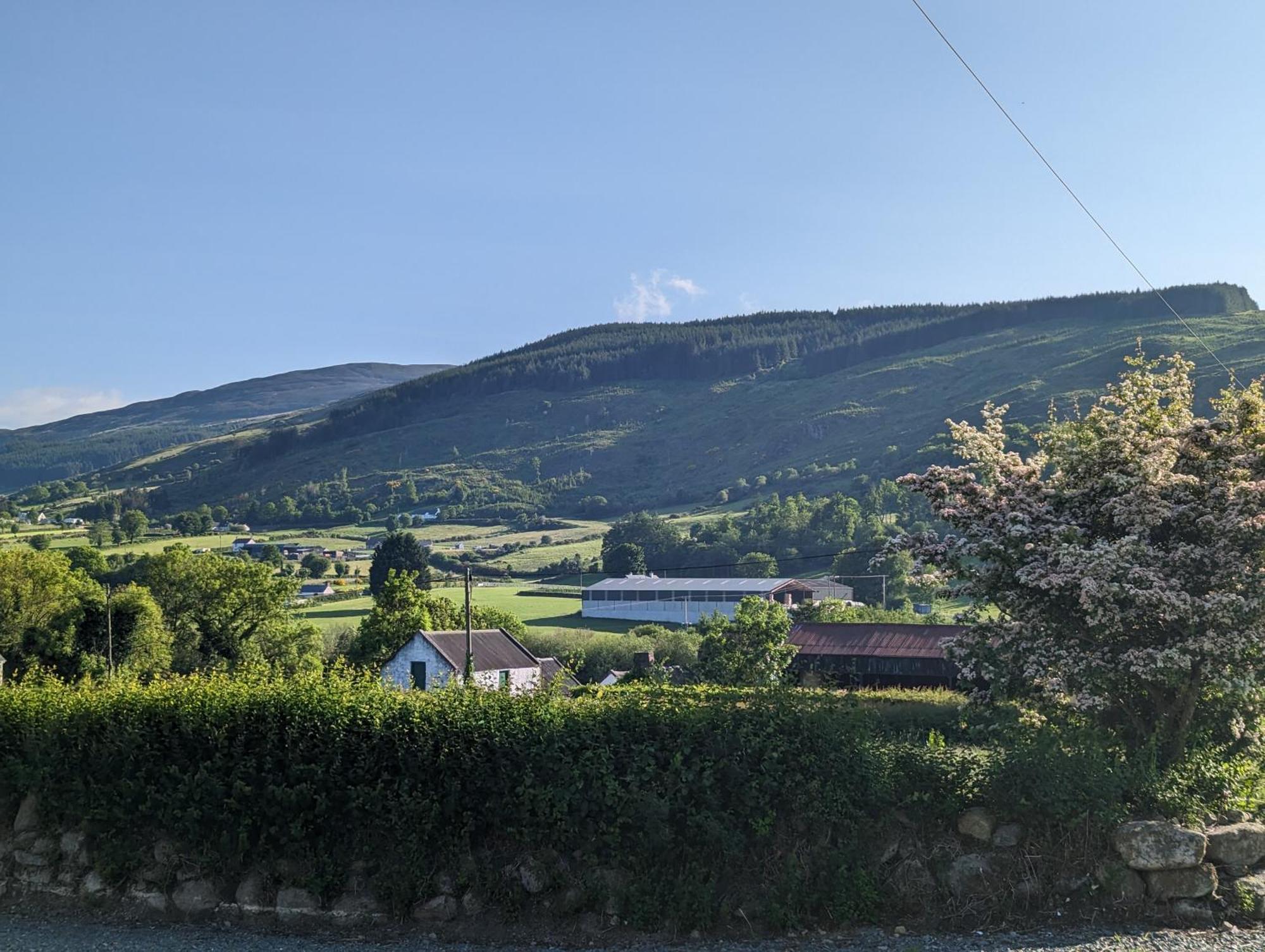 Killeavy Cottage Meigh Exterior foto