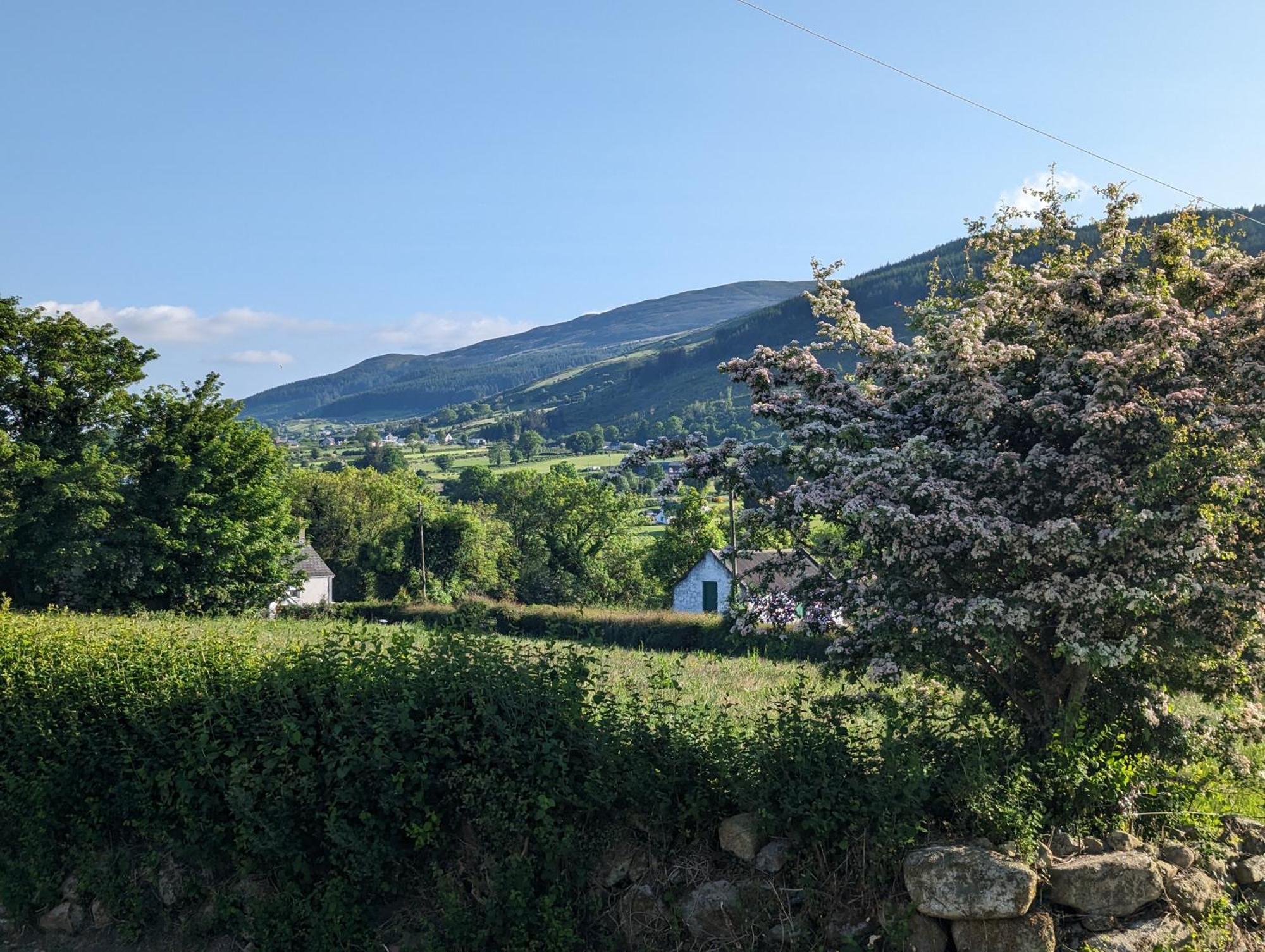 Killeavy Cottage Meigh Exterior foto