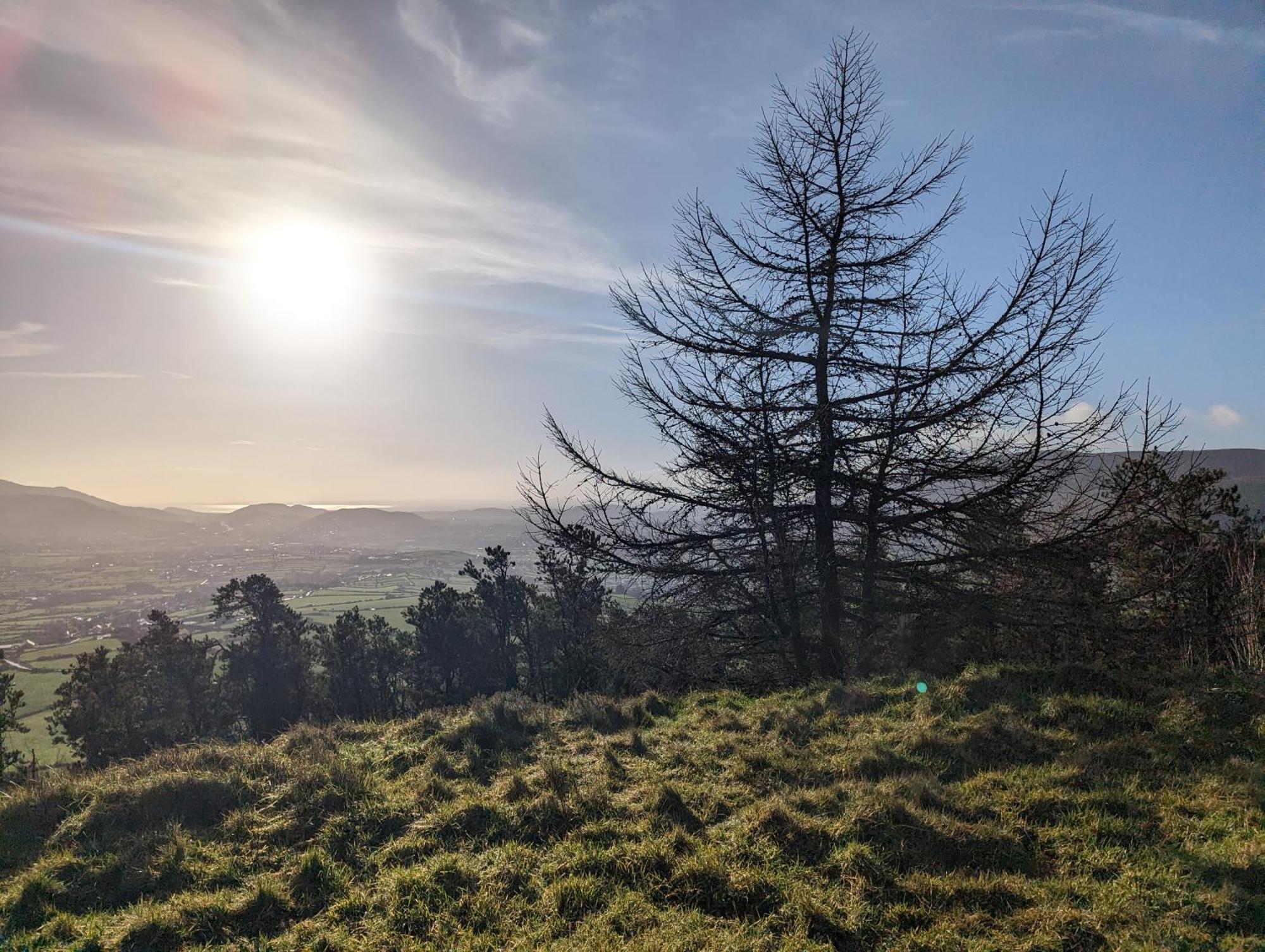 Killeavy Cottage Meigh Exterior foto